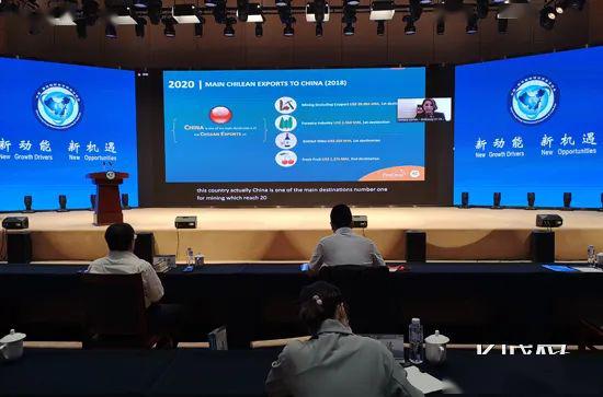 京津冀携手共探跨境电商新路径，线上对接会擘画全球电商合作新蓝图