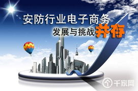 安防行业电子商务发展与挑战并存 计算机技术的推动与阻碍